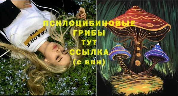 сатива Дмитров