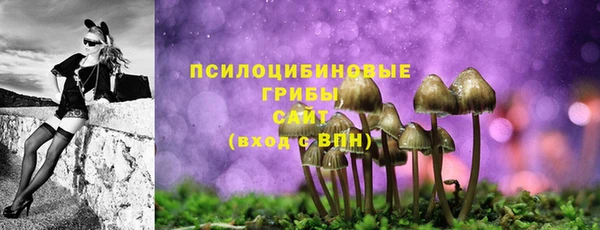 эйфоретик Елизово