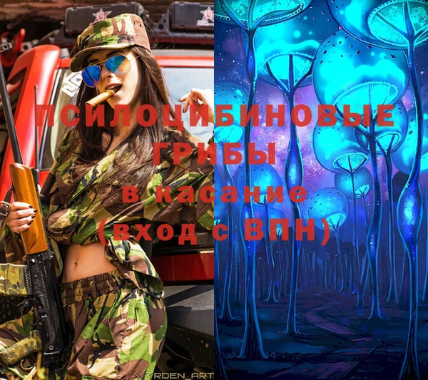 марки lsd Дмитриев