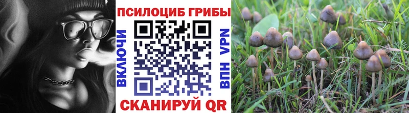 Псилоцибиновые грибы мицелий  Купить  Старый Оскол 