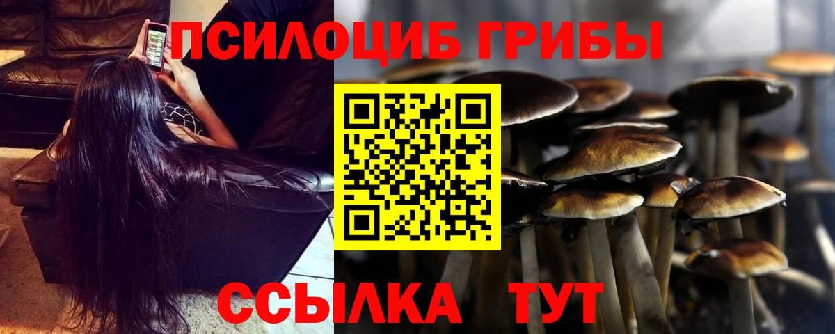 Псилоцибиновые грибы Psilocybine cubensis  Вход с VPN  Старый Оскол 